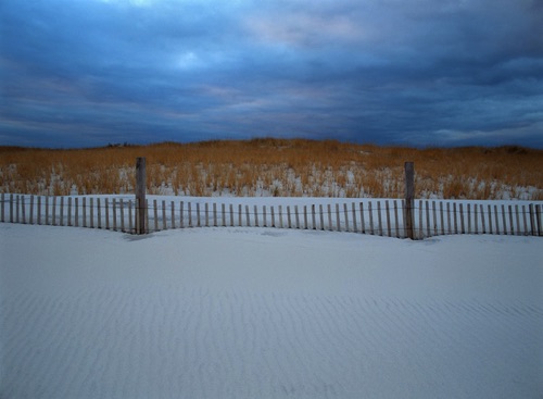 Dune Fence, Island Beach State Park, Ocean County, NJ (MF).jpg
